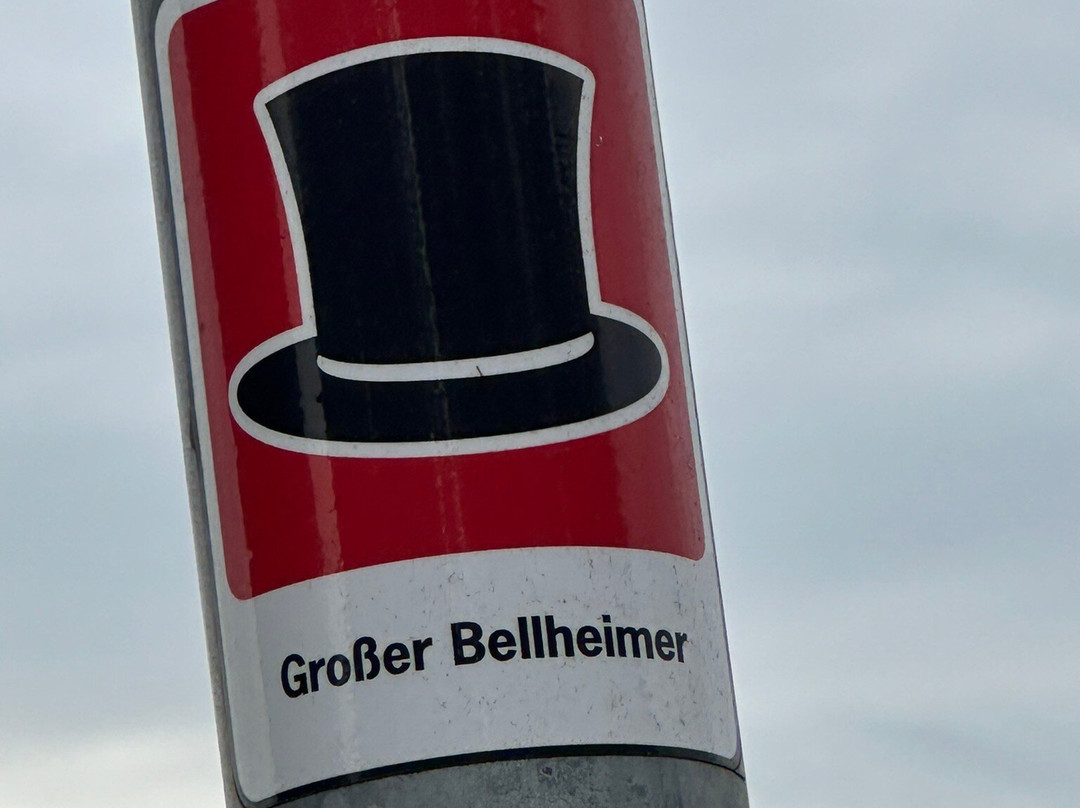 Queichwiesen-Offenbach an der Queich必去景点