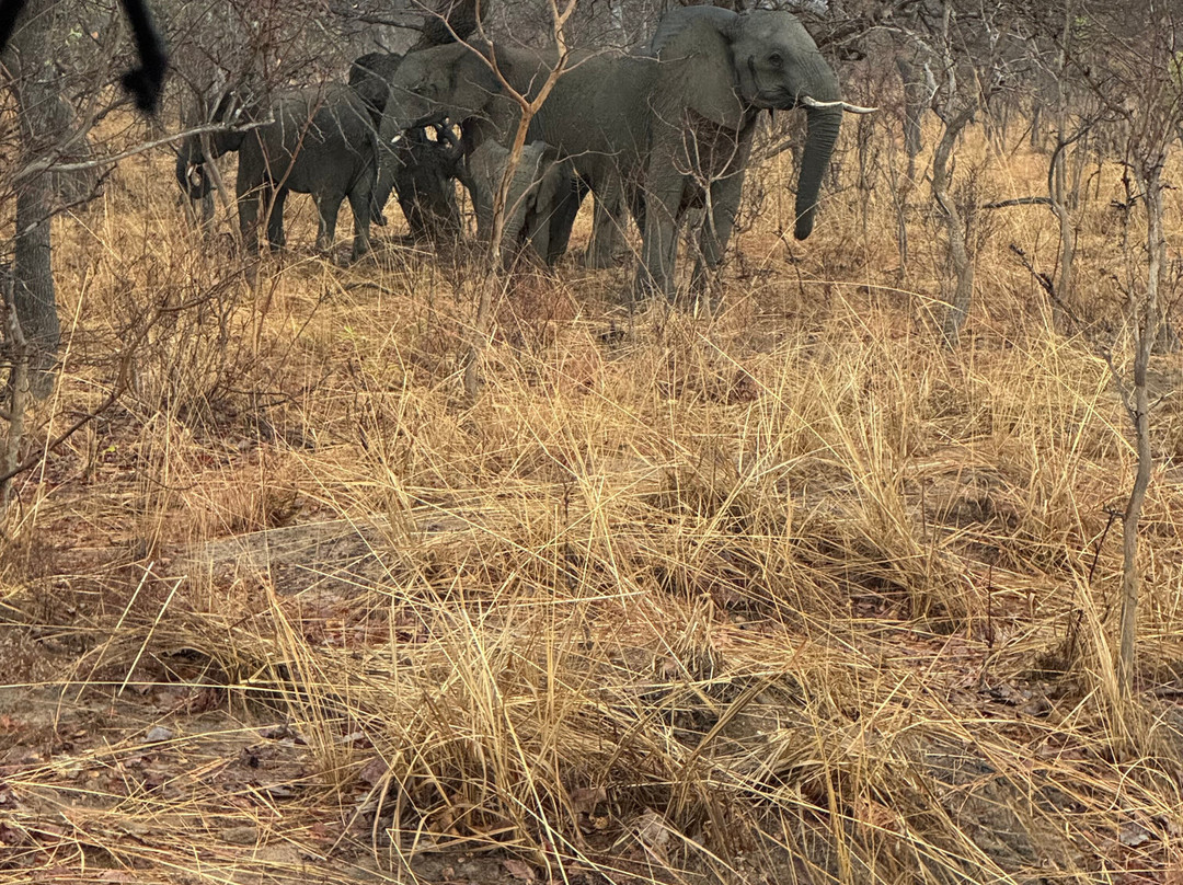 Zamsato - Zambia Safaris & Adventours-李文斯顿必去景点