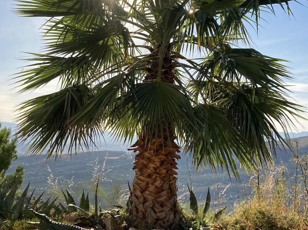 Boutique B&B El Refugio主图