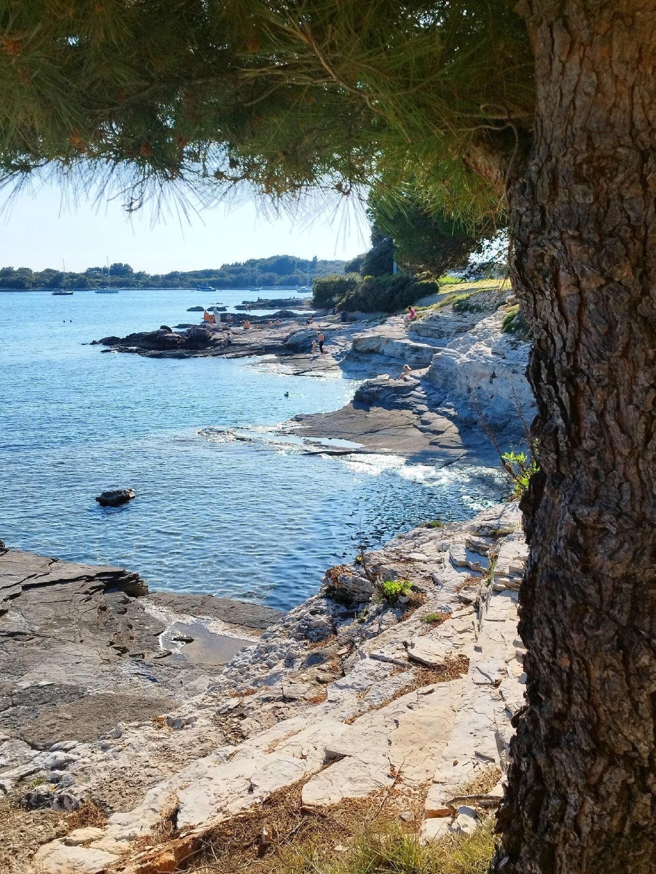 Centinera Resort-官方