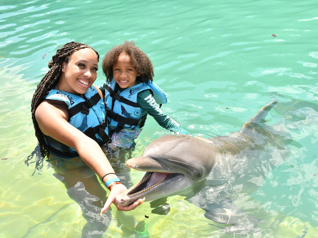 Dolphin Cove Montego Bay-Lucea必去景点