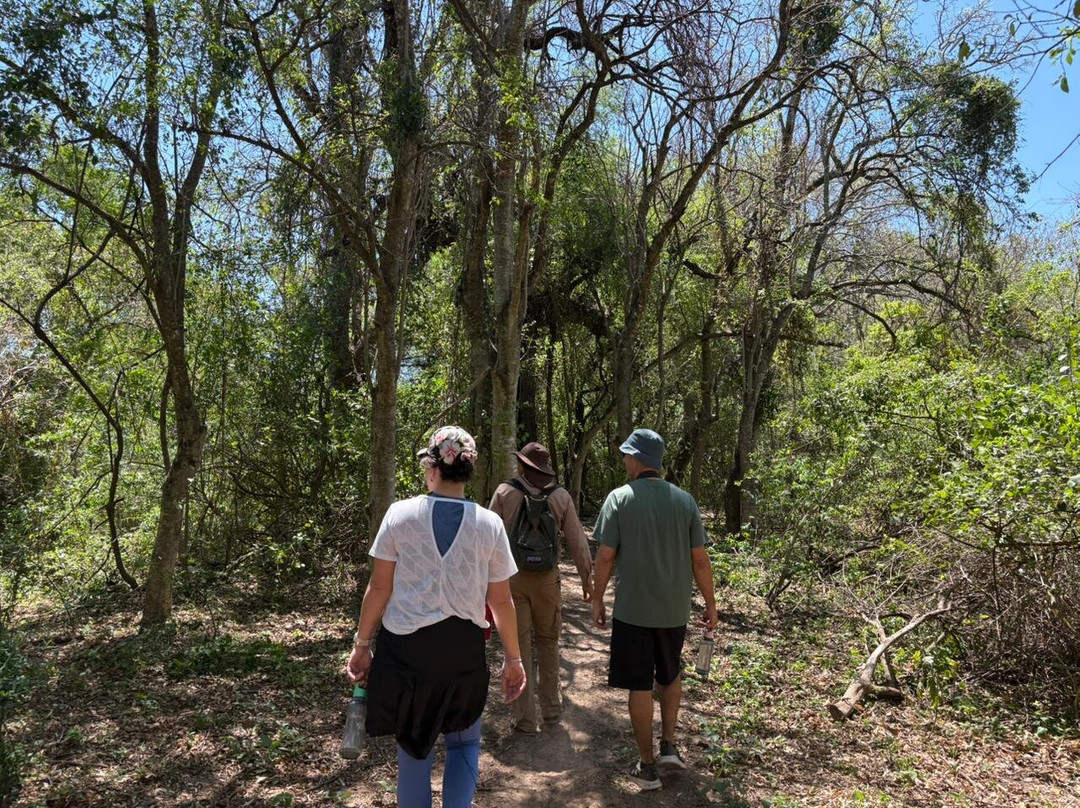 Parque Nacional El Impenetrable-General Guemes必去景点