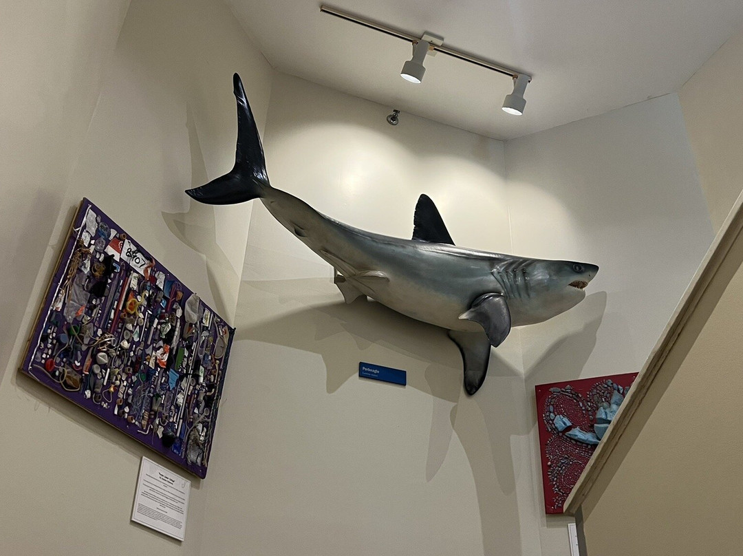 Cape Cod Museum of Natural History-Brewster必去景点