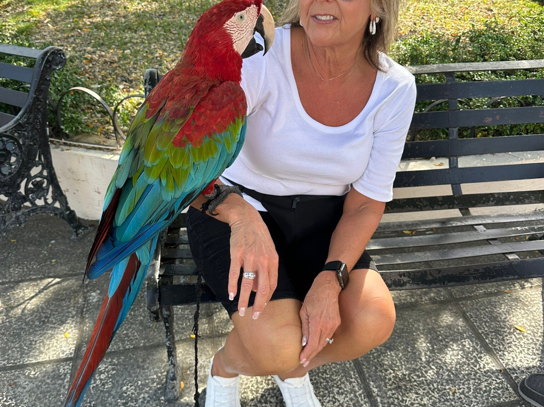 Dominican Atlantic Transfers & Tours-普拉塔港必去景点