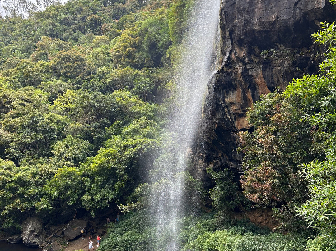 Green Discovery B&B Tamarind Falls 7 Cascades主图