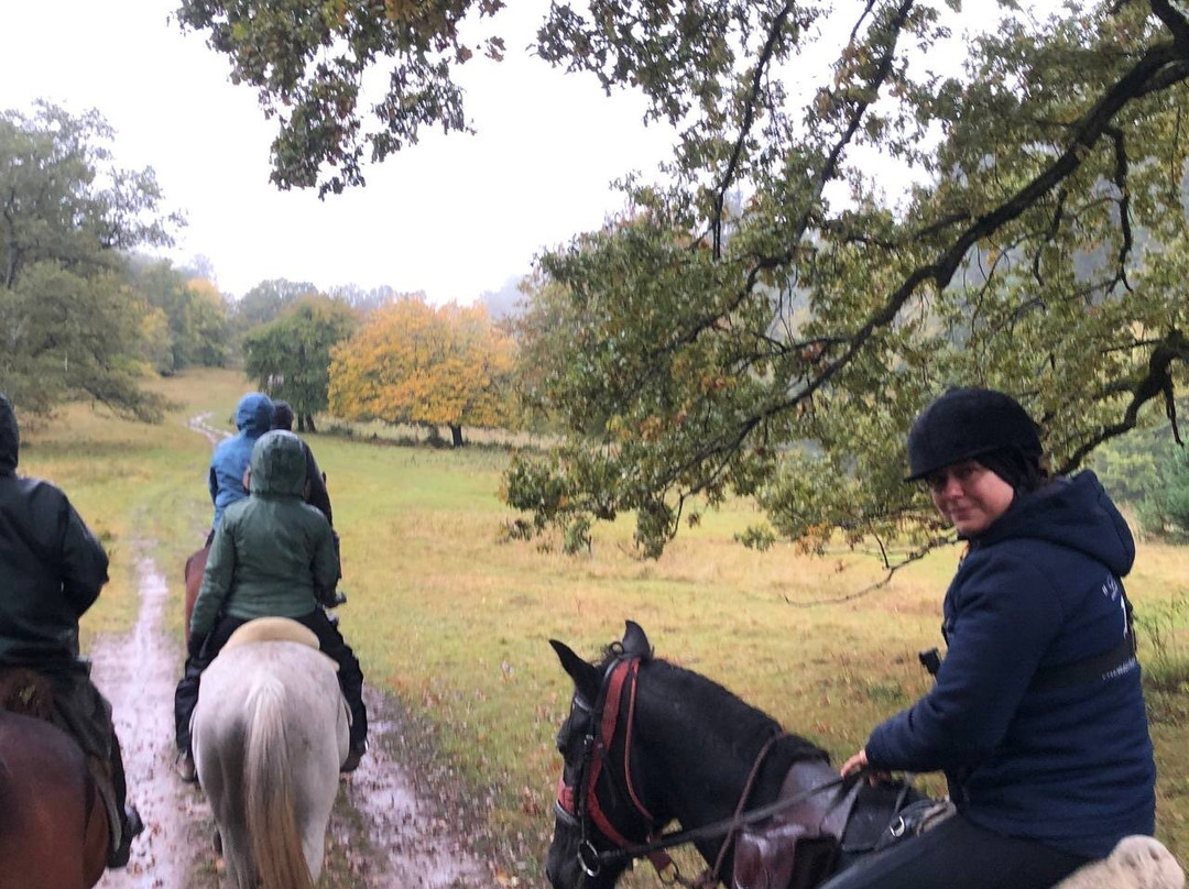 Count Kálnoky's Riding Holidays-Valea Crisului必去景点