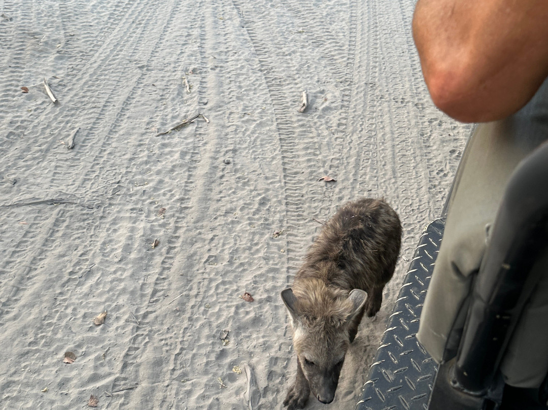 Shipungo Safari & Tours-马翁必去景点