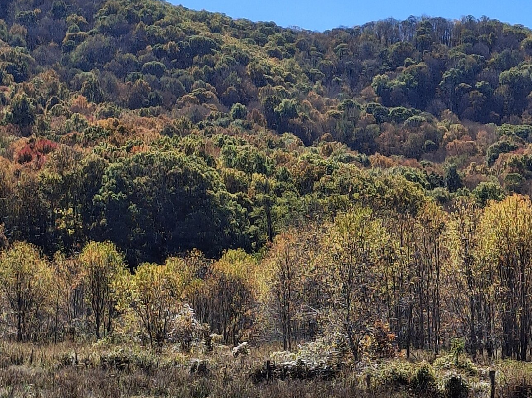 Burke's Garden-Tazewell必去景点