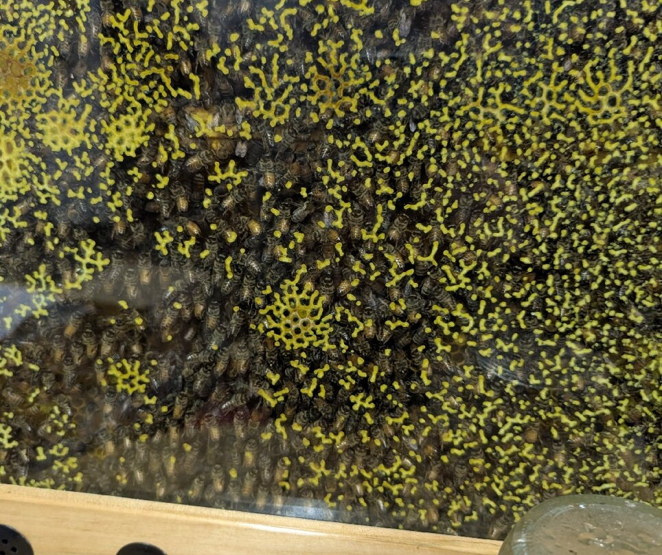 Draper's Super Bee Apiaries-Millerton必去景点