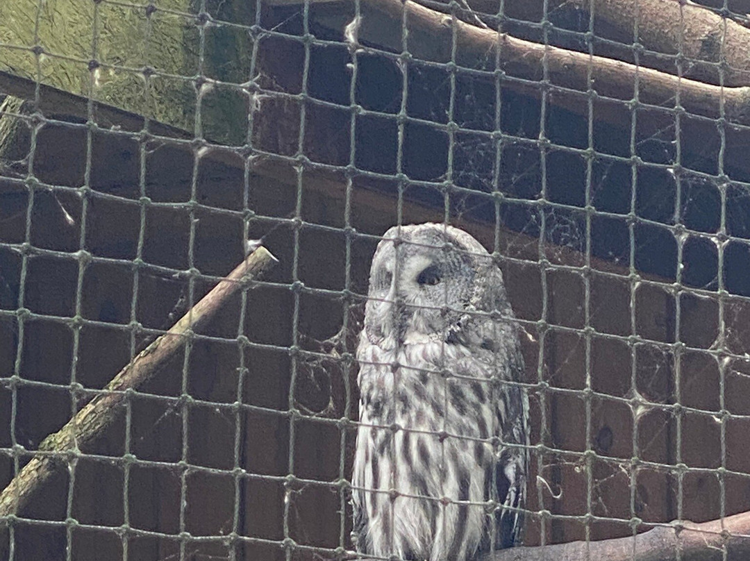 Northumberland Zoo-莫佩思必去景点