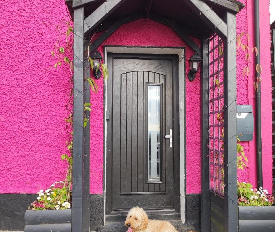 The Little Pink House