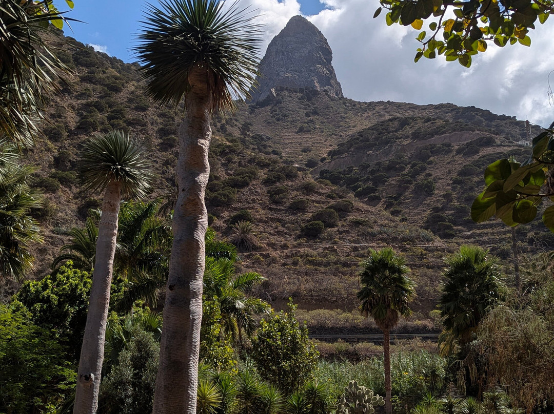 Jardin Botanico del Descubrimiento de Vallehermoso-Vallehermoso必去景点