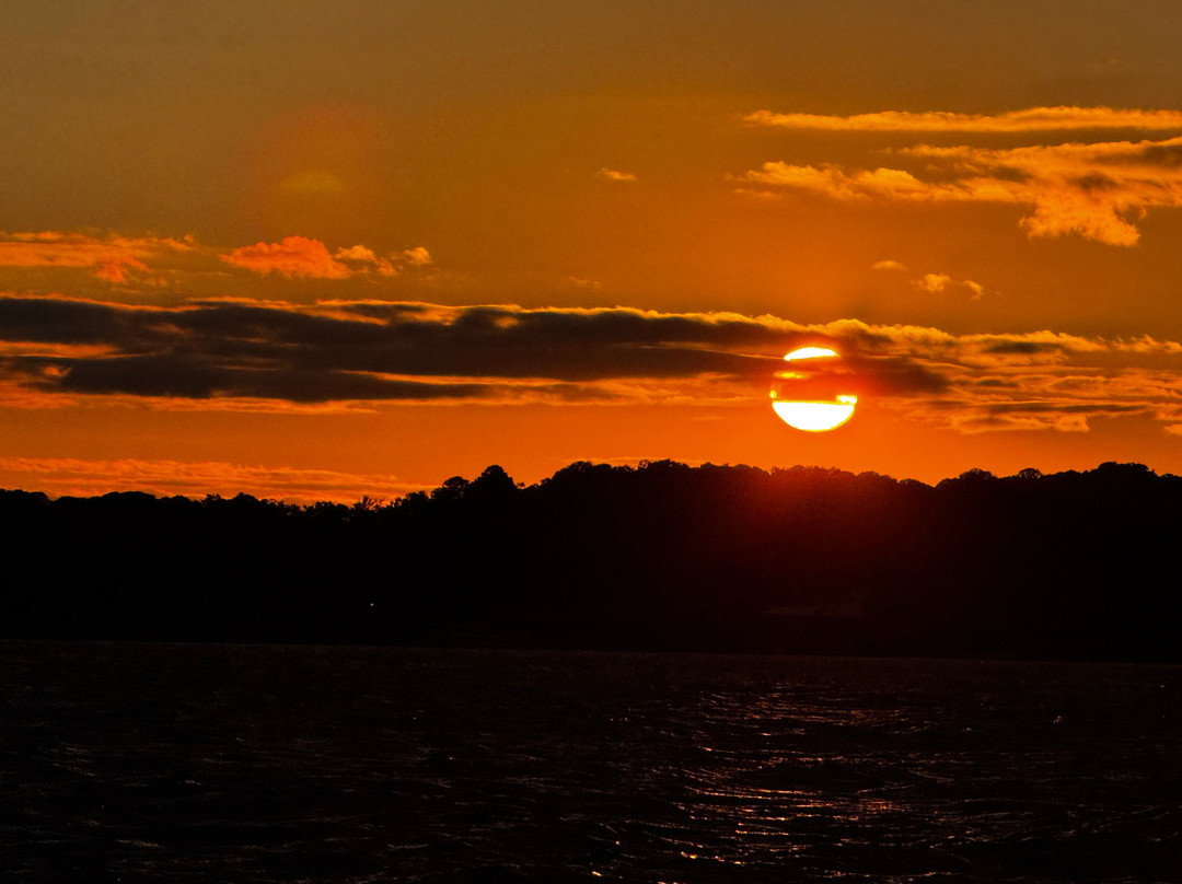 Sail Selina Ii-圣迈克必去景点