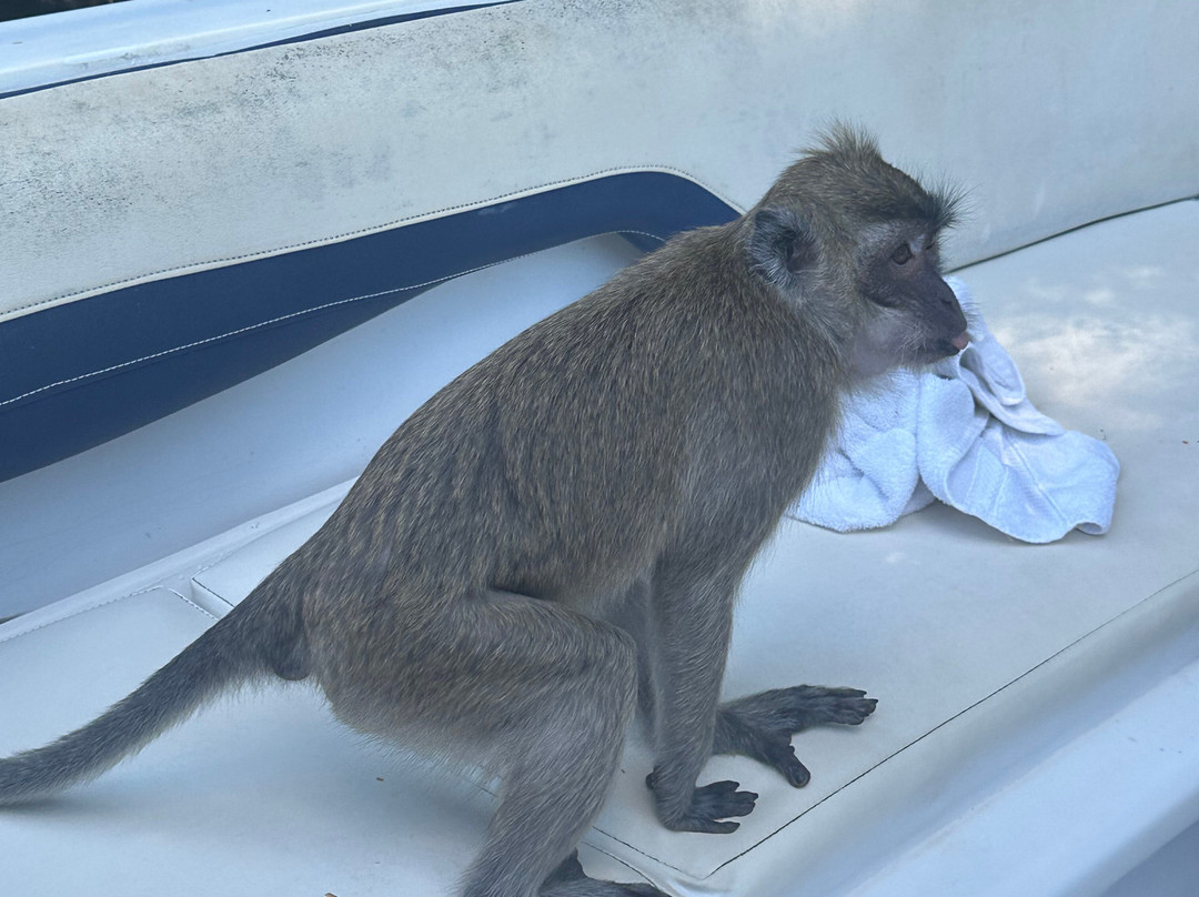 Belinda Boat Tour-贝尔马尔必去景点