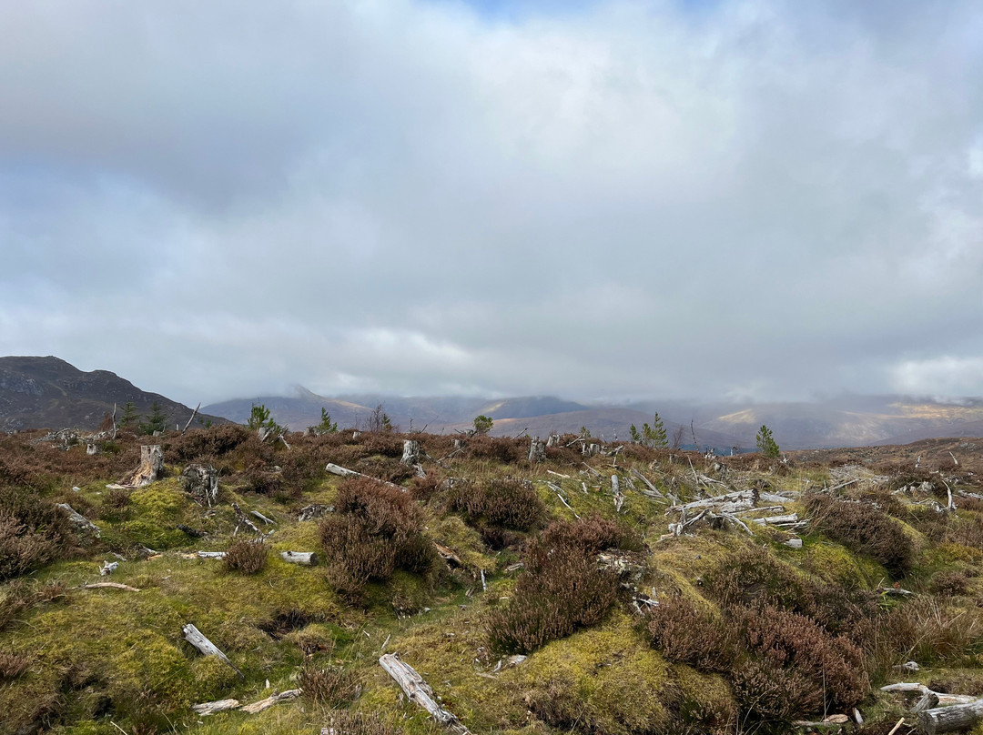 Highland Trekking and Trail Riding-Cannich必去景点
