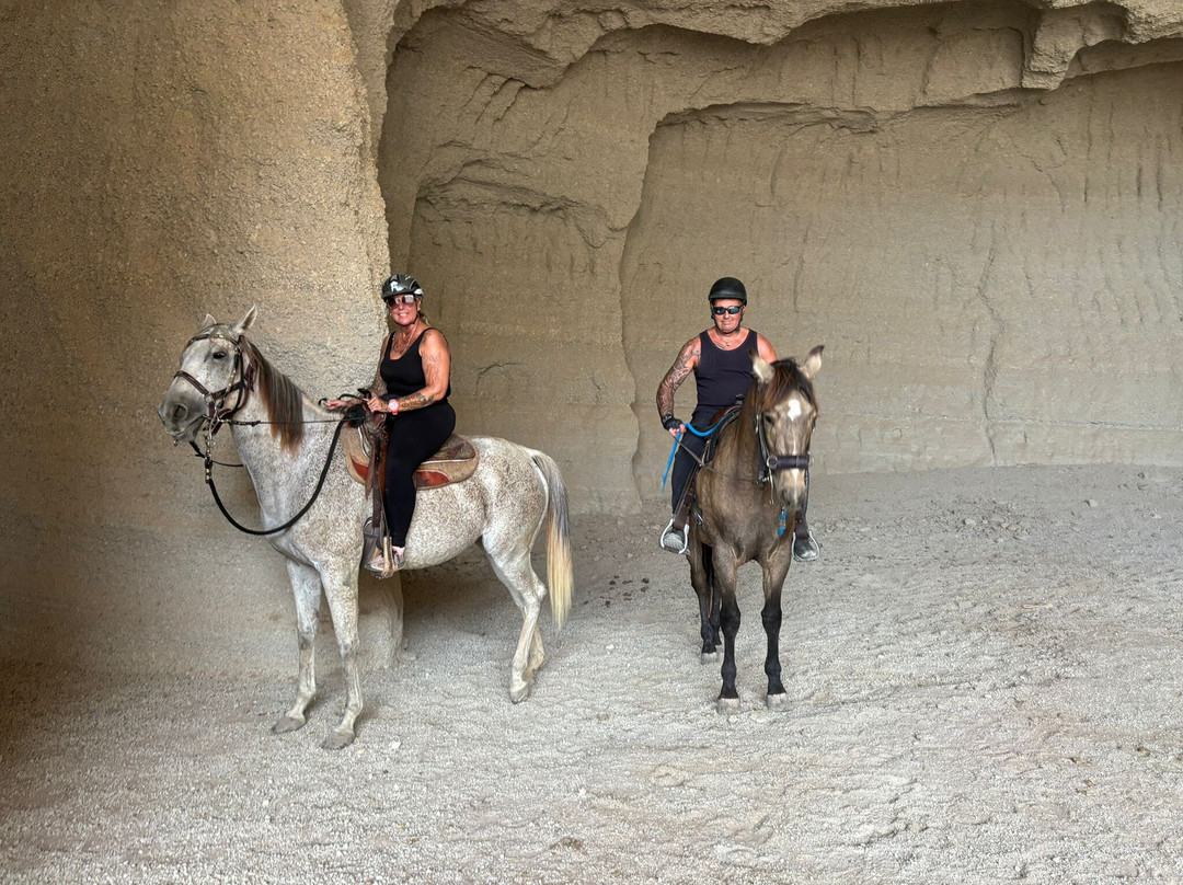 Horse Adventures Tenerife-Granadilla de Abona必去景点