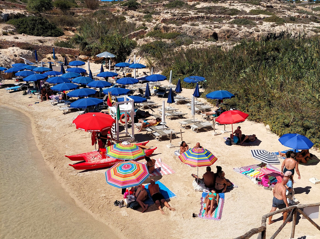 Spiaggia Di Cala Madonna-兰佩杜萨必去景点