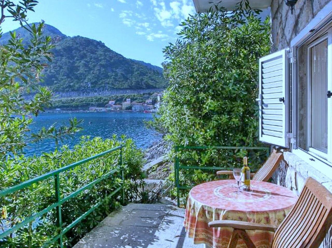 Apartments Anelic
