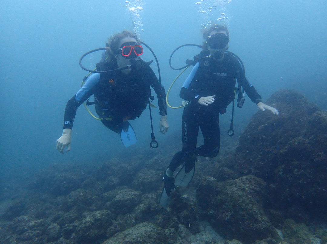 Pacific Coast Dive Center-Playa Flamingo必去景点