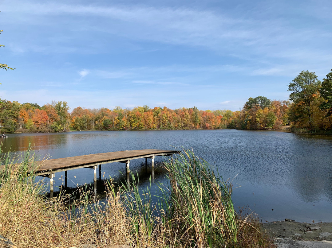 Zip Timber Lake-Huntington必去景点