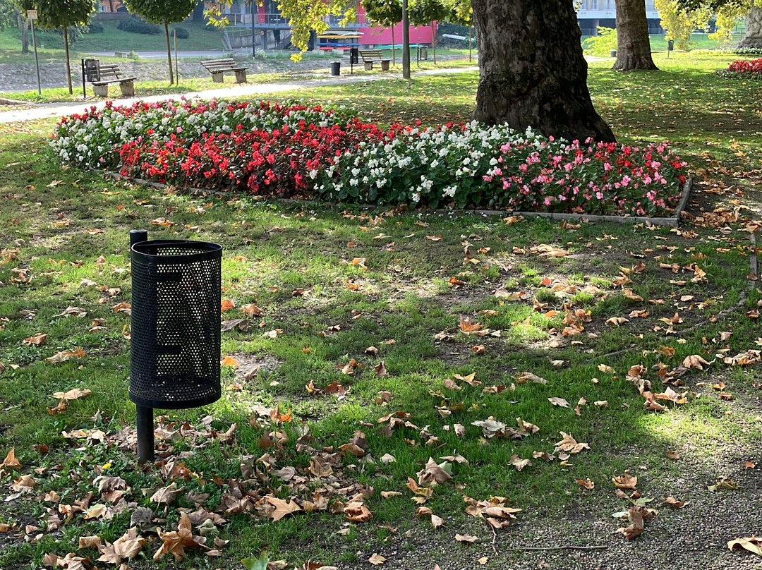 Radó-sziget-焦尔必去景点