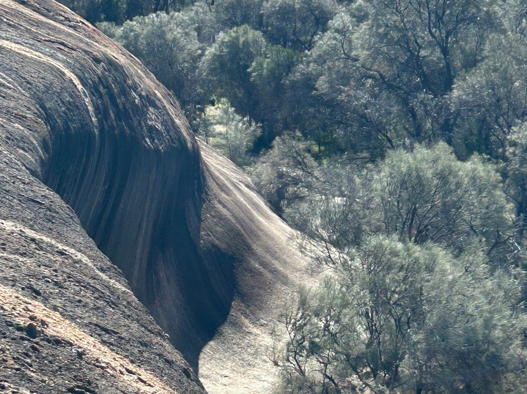 Wave Rock-海顿必去景点