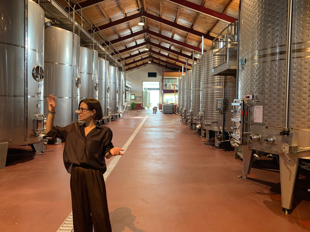 Bodegas Carchelo-Jumilla必去景点