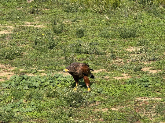 Roma World-罗马必去景点