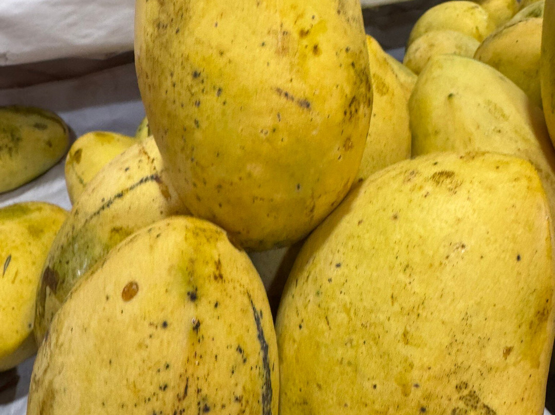 Mercado de Medellin-墨西哥城必去景点