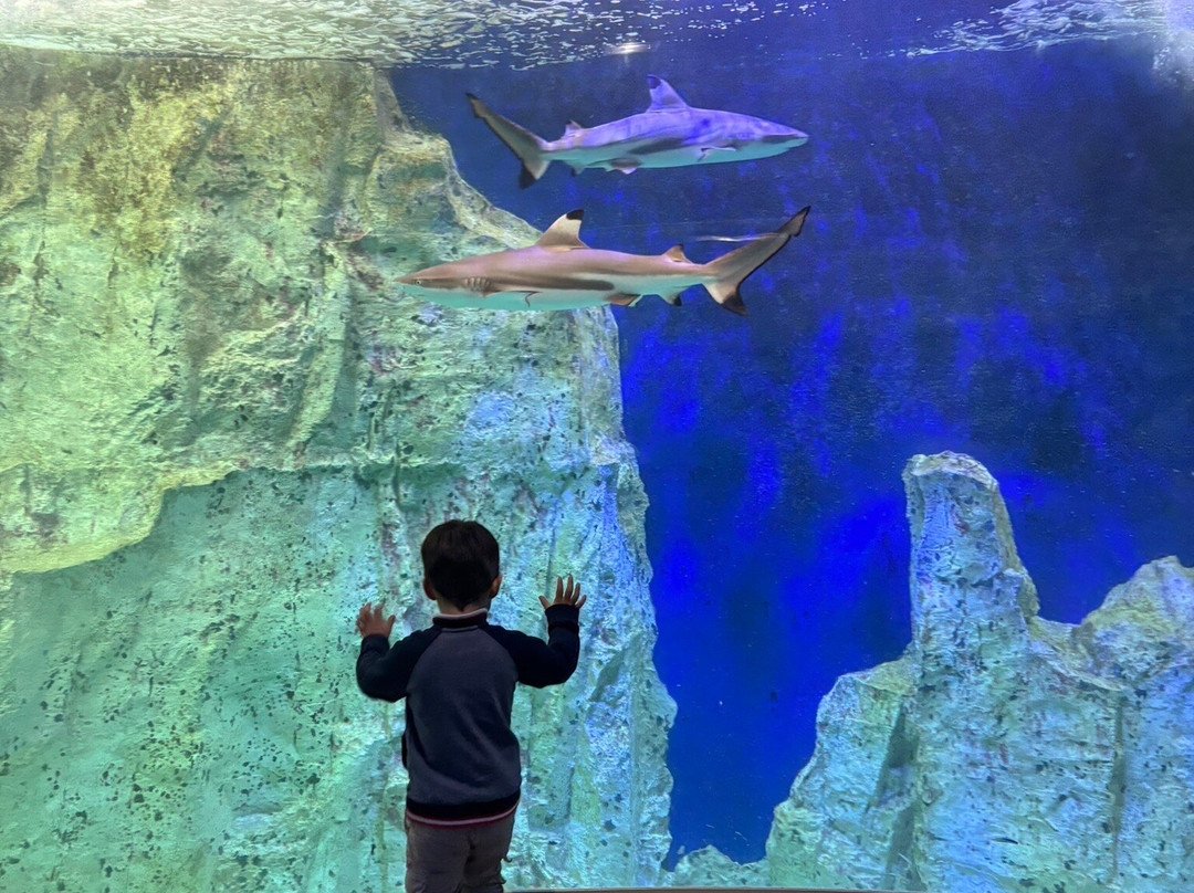 Grand Aquarium-圣马洛必去景点