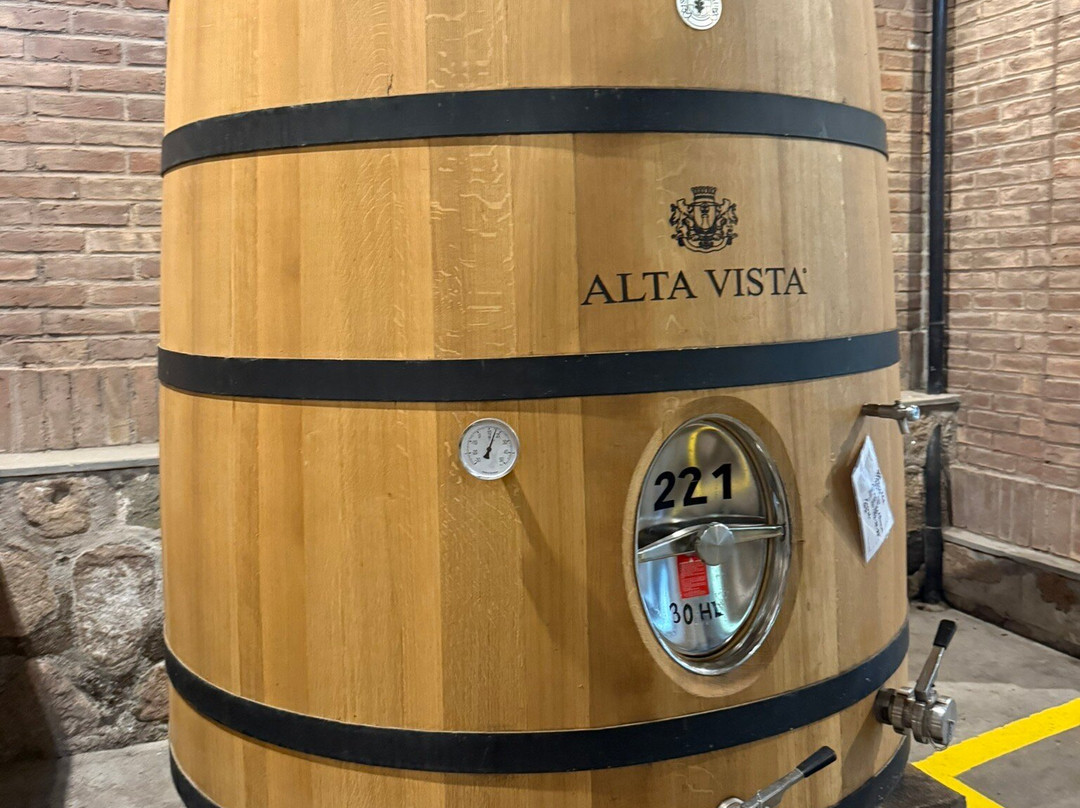 Bodega Alta Vista-路冉得库约必去景点