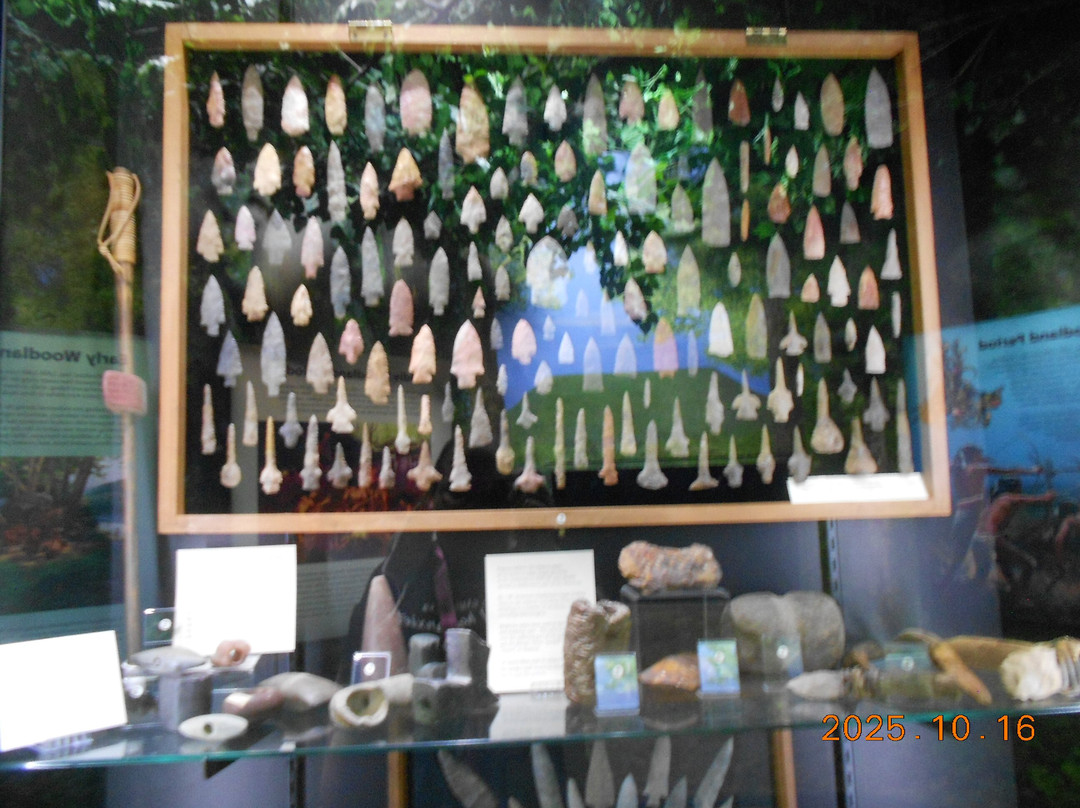 Indian Mound & Museum-弗洛伦斯必去景点