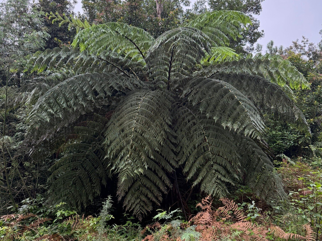 Bravelanders-沙尔必去景点