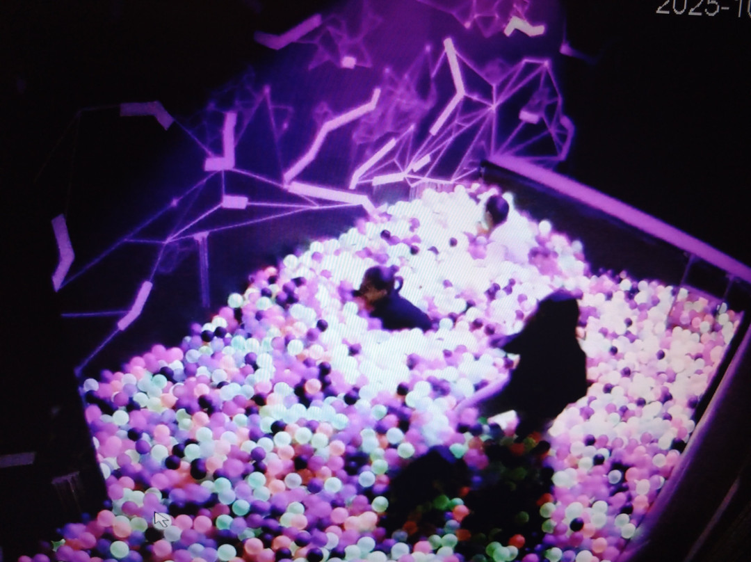 SENSAS Clermont-Ferrand-克莱蒙费朗必去景点