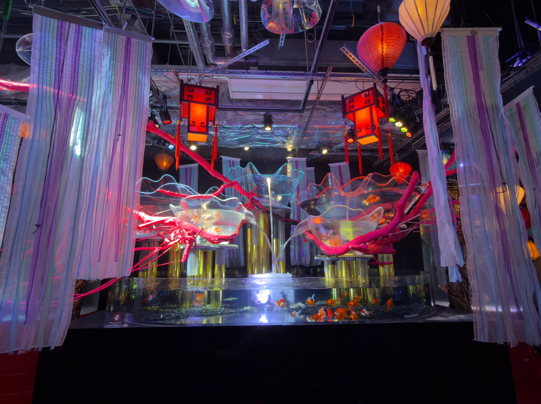 Uws Aquarium Ga Kyo-Daiba必去景点