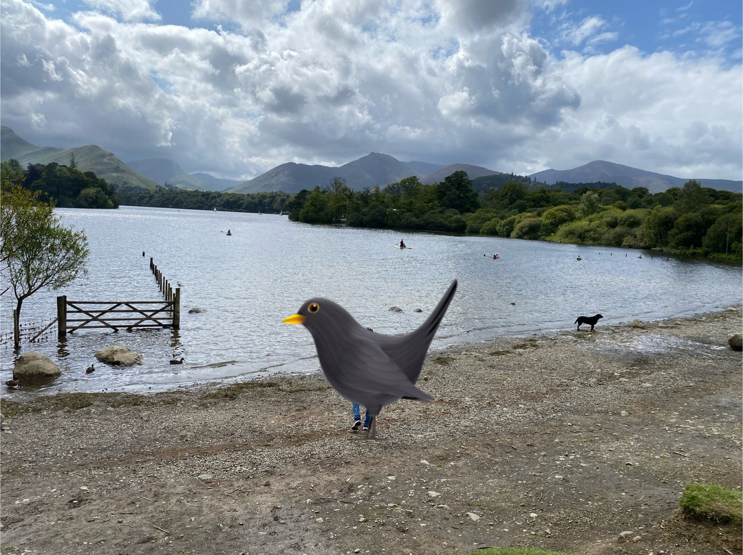Crow Park-凯瑟克必去景点