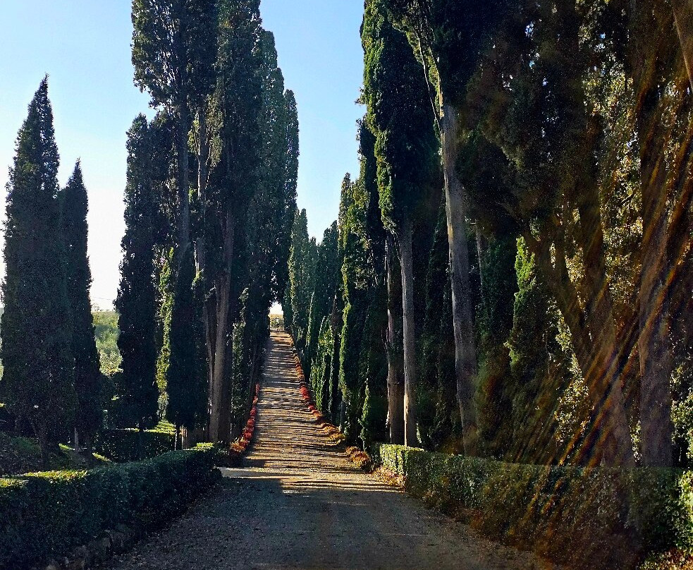 Poggio Torselli-佩萨河谷圣卡夏诺必去景点
