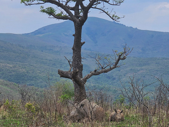 DayToursKzn-德班必去景点