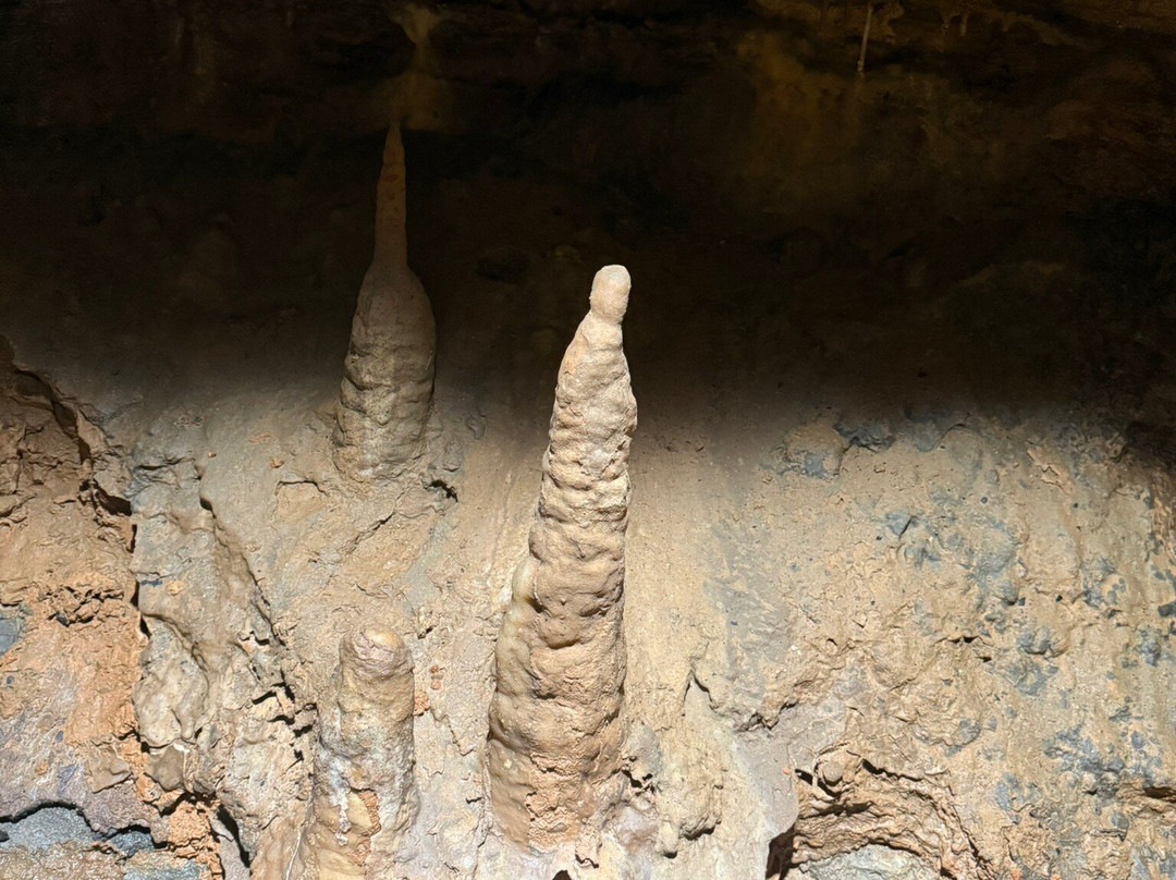 Cosmic Cavern-Berryville必去景点