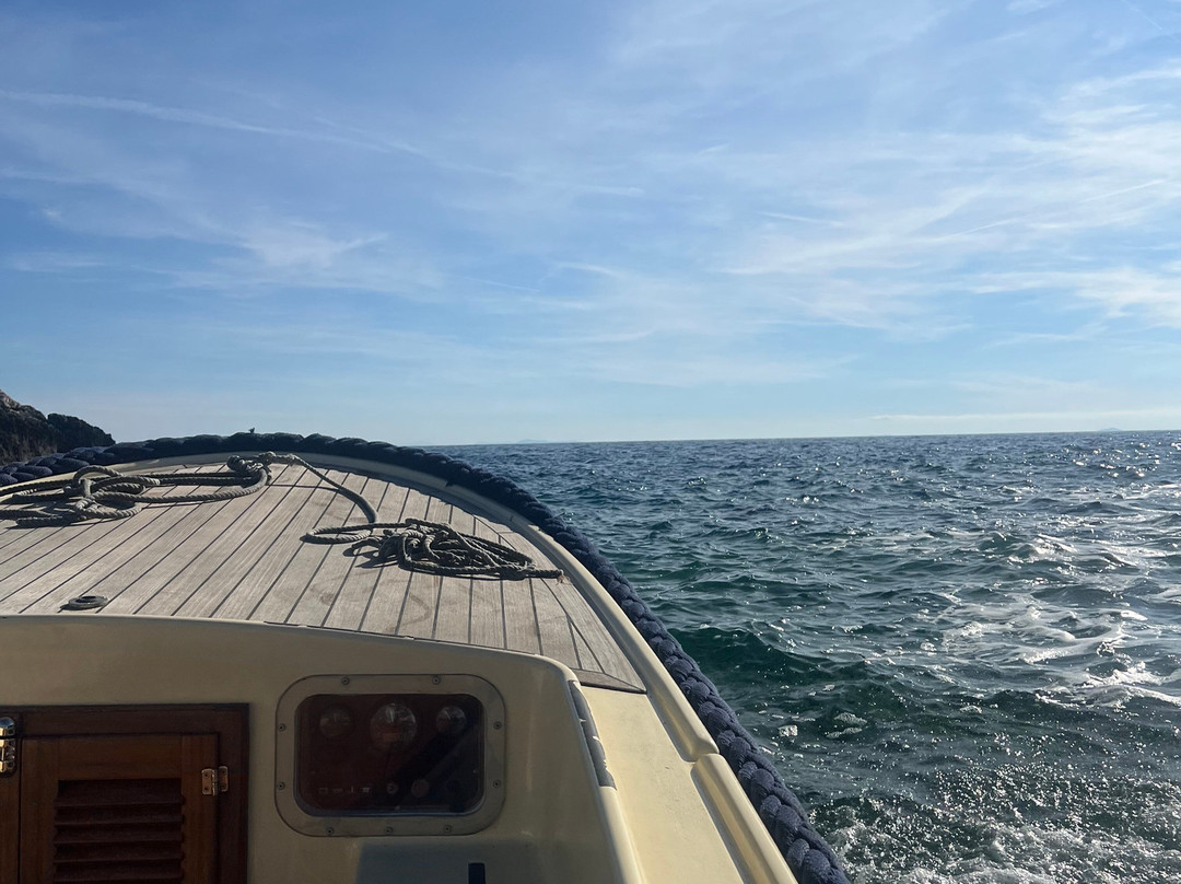 TrulyCroatia Tours-扎达尔必去景点