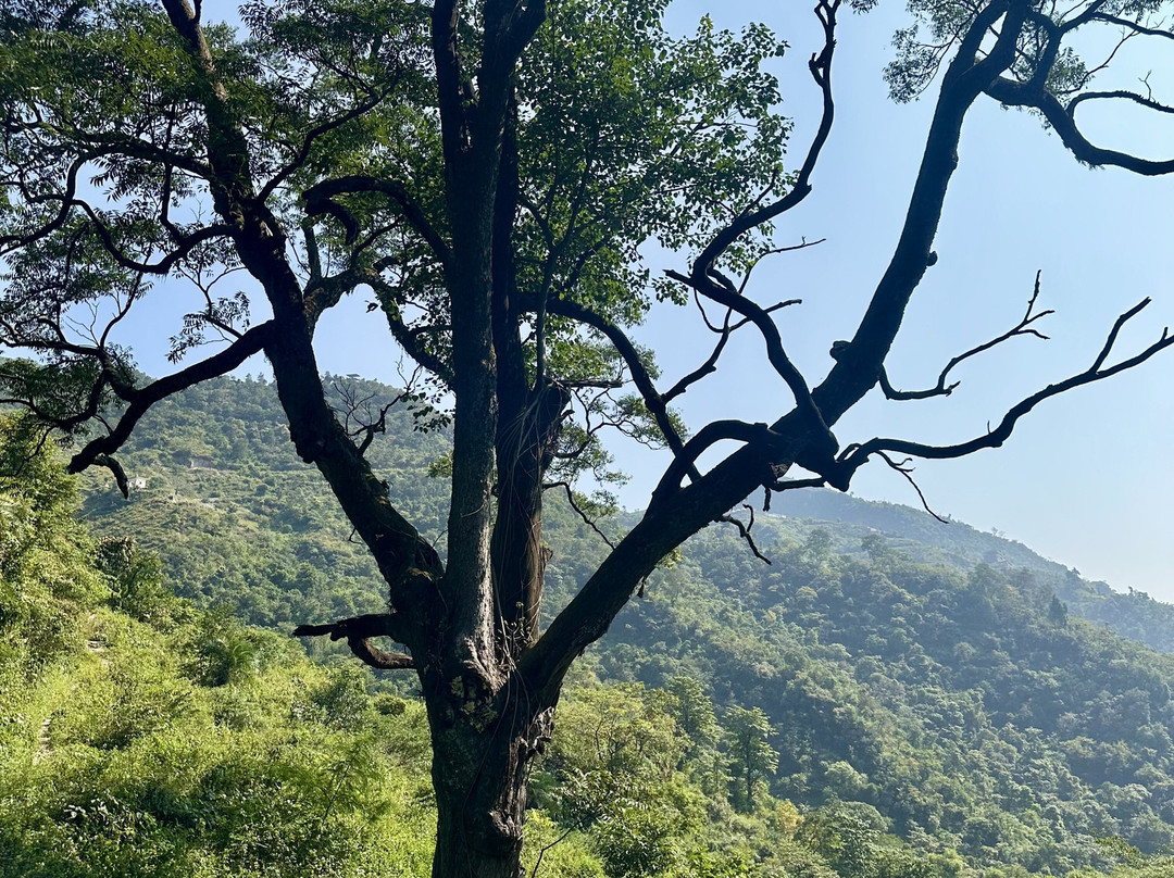 Rishikesh Day Tour-里希克虚必去景点