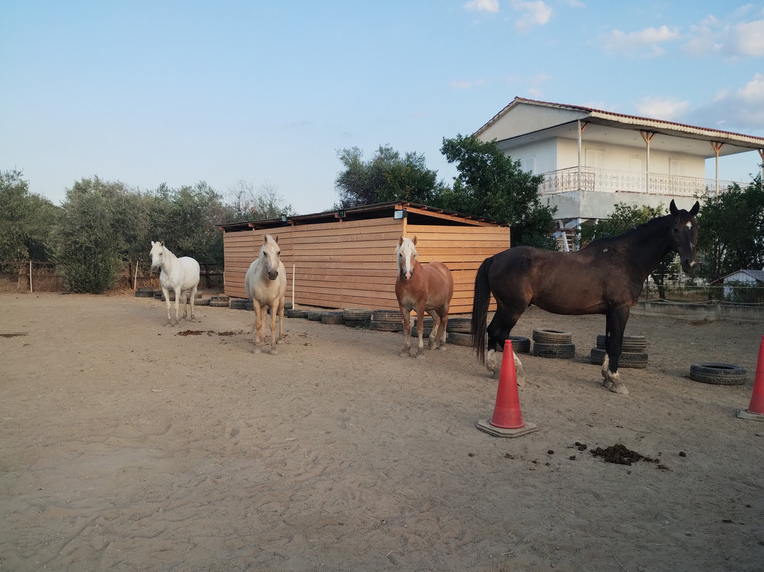 Darko World Horse Riding-Livanates必去景点