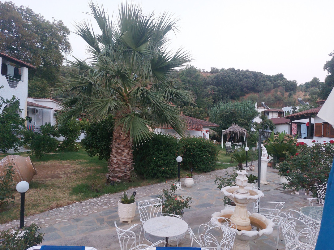 Studio Jimmy's主图