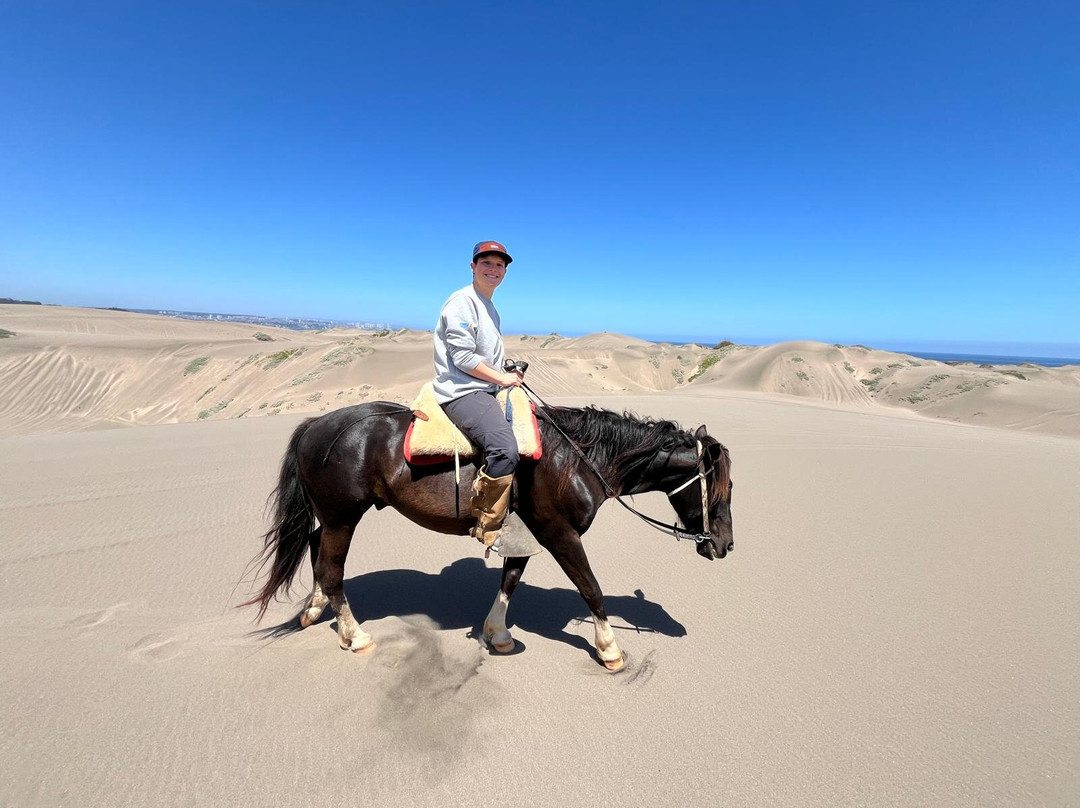 Ritoque Expeditions-Concon必去景点