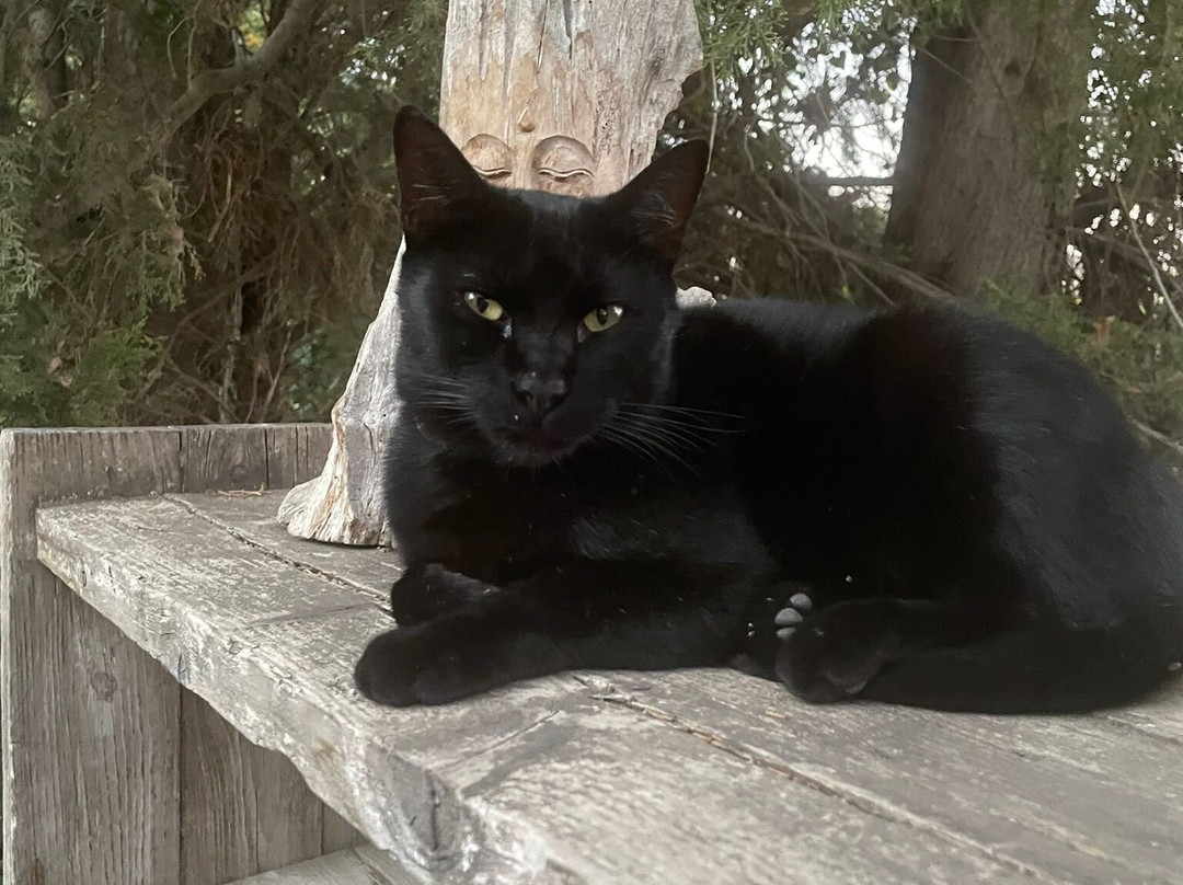 Finca La Vida Loca - Adults Only主图