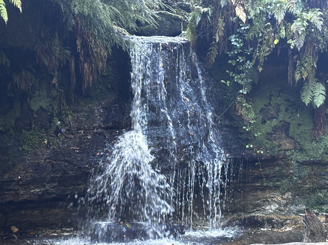 Maspie Den-Falkland必去景点