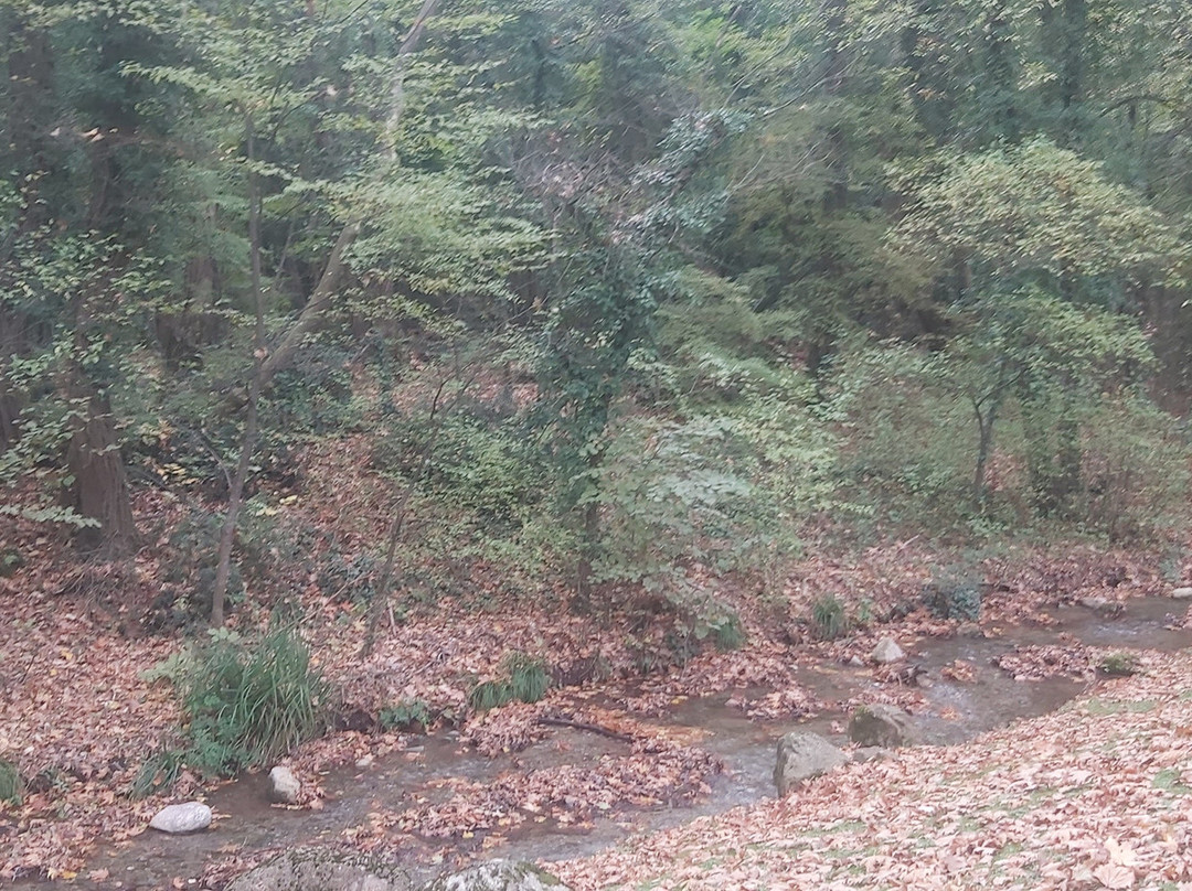 Agios Nikolaos Park-Naousa必去景点