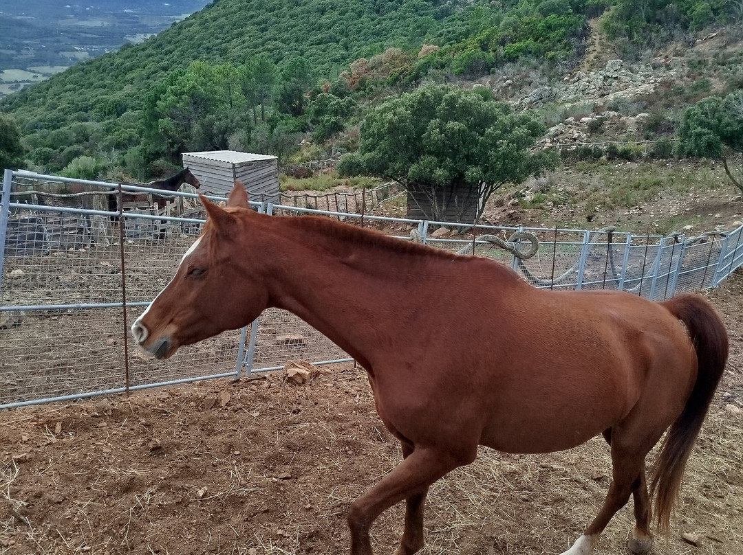 U Porcu Ranger-Figari必去景点