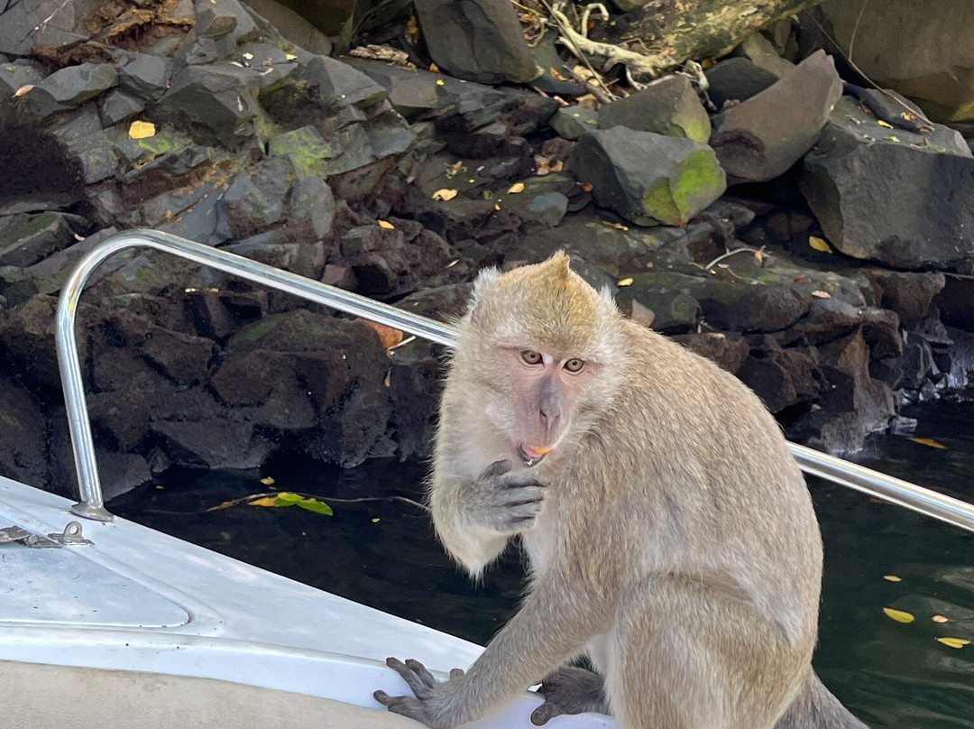 Slice Of Life-卓得多斯必去景点