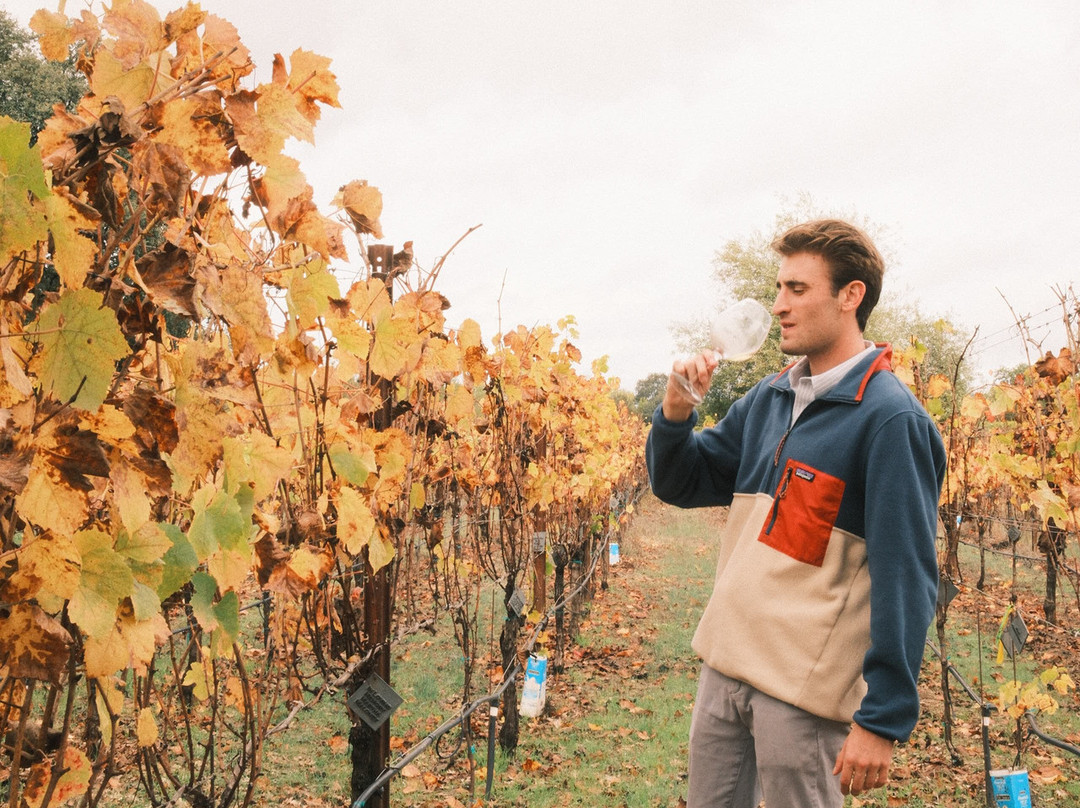 Gracianna Winery-希尔兹堡必去景点